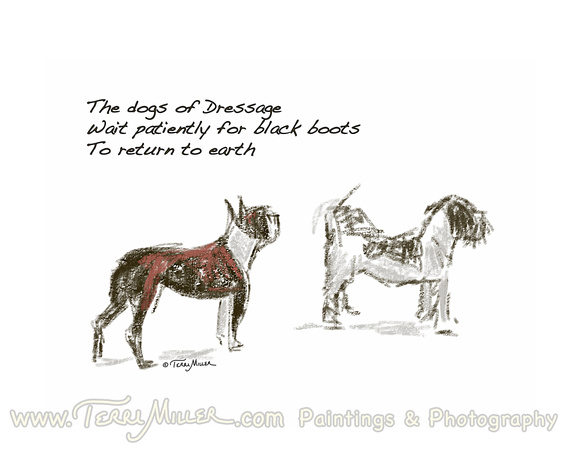 Dogs of Dressage