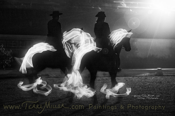 Lighted Horses5WCD-1882