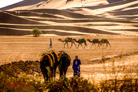 Morocco_2018P-1090223 Camel Camp
