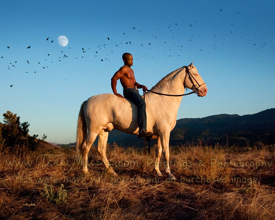 Bird Moon Man Horse