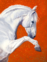 Art Prints: Horses Traditional Paintings